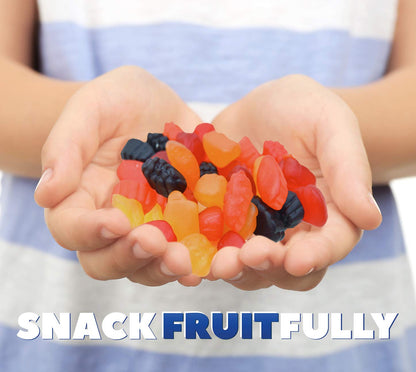 Welch's Fruit Snacks, Mixed Fruit, Gluten Free, Bulk Pack, 0.9 oz Individual Single Serve Bags (Pack of 66)