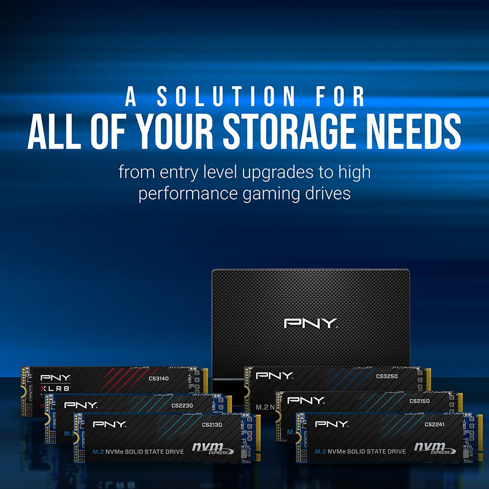 PNY CS900 250GB 2.5" SATA III Internal SSD