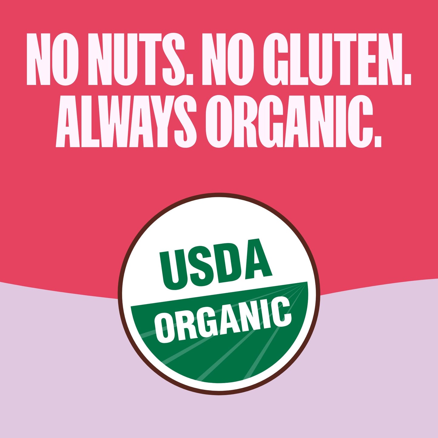MadeGood Granola Bites Chocolate Chip & Strawberry Variety Pack (28 Count) Gluten Free and Organic Snacks