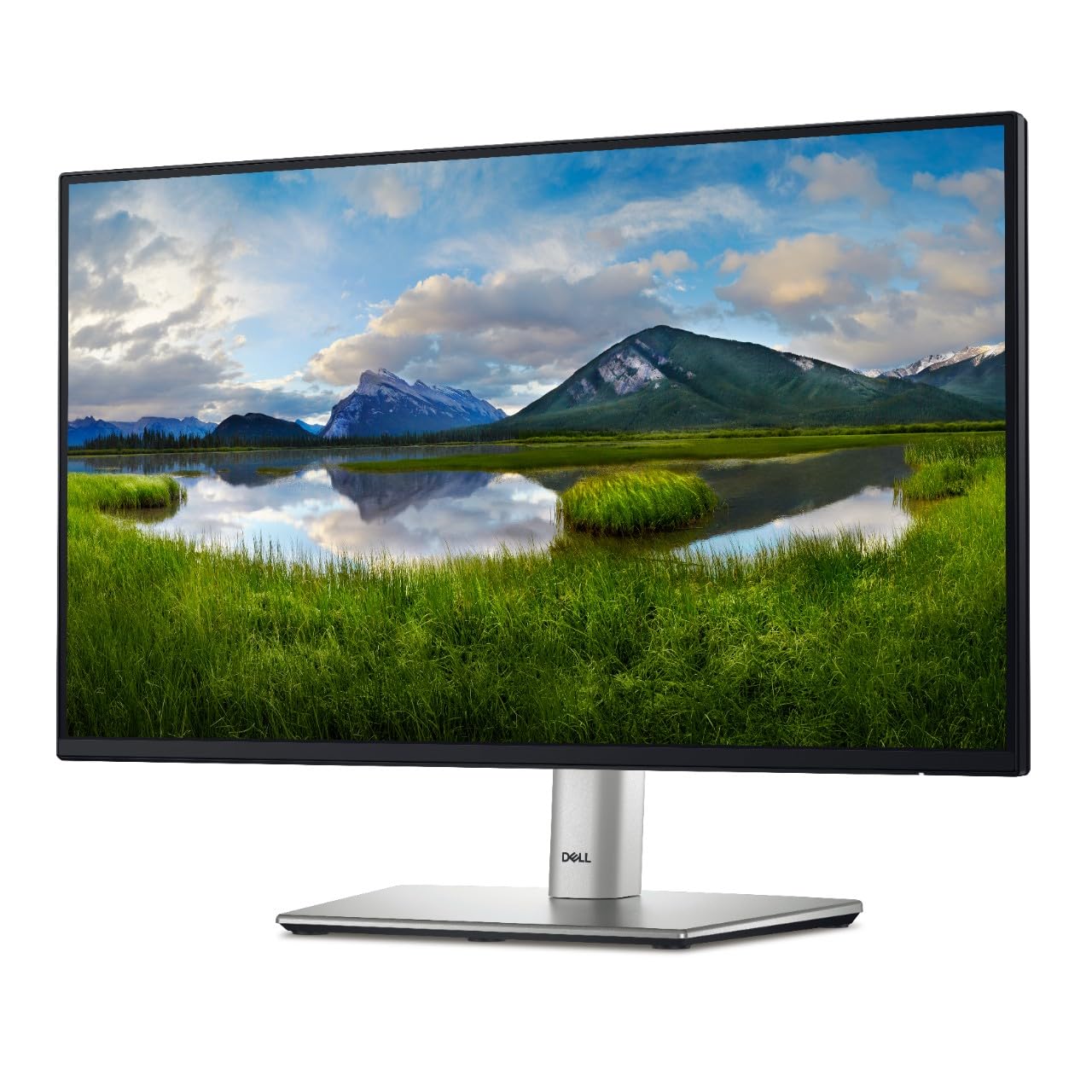 Dell 24 Monitor - P2422H - Full HD 1080p, IPS Technology, ComfortView Plus Technology