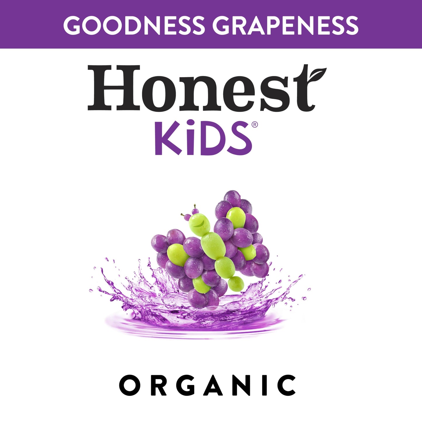 Honest Kids Variety Pack Organic Fruit Juice Drink, 675 fl oz, 32 Pack