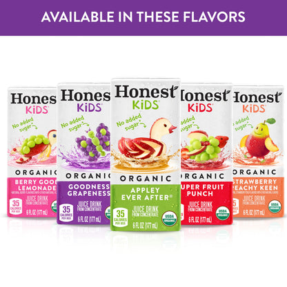 Honest Kids Variety Pack Organic Fruit Juice Drink, 675 fl oz, 32 Pack