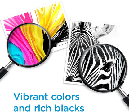 HP 67XL Black and 67XL Tri-Color High-Yield Ink Cartridge 2 Pack for Printers | Works with DeskJet 1255, 2700, 4100, Envy 6000, 6400 Series | Packaging May Vary
