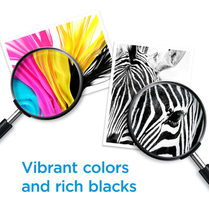 HP 62 Black/Tri-Color Ink (2-Pack) | Works with Envy 5540, 5640, 5660, 7640, OfficeJet 5740, 8040, OfficeJet Mobile 200, 250 | Instant Ink Eligible | N9H64FN | Packaging May Vary