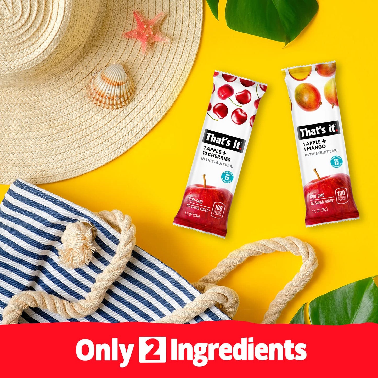 That's it. Fruit Bars 12 Variety Pack 100% Natural Real Fruit Bar, High Fiber Vegan, Gluten Free, Paleo, Non-GMO No Sugar Added (6 Mango, 6 Cherry)